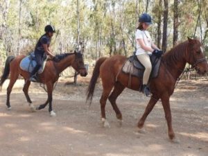 Quad Biking Adventure | Quad Biking, Horse Riding and Air Rifle Experience for 2 - Limited Offer