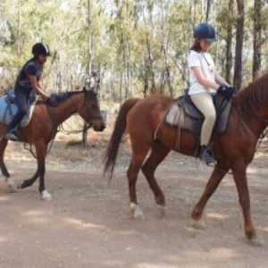Quad Biking Adventure | Quad Biking, Horse Riding and Air Rifle Experience for 2 - Limited Offer