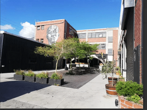 Cape Of Storms Distillery | Craft Rum Distillery Tour & Tastings for 2