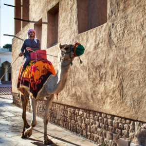 Travel Creationz | The Perfect Get Away Package To Dubai For 2 Incl A Dhow Dinner Cruise