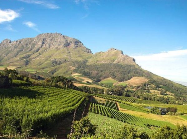 Queer Eye Tours | Wine Tasting in Franschhoek Incl Lunch and Drinks for 6 (Copy)