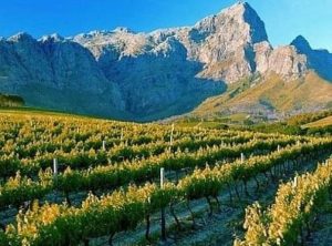 Queer Eye Tours | Wine Tasting in Franschhoek Incl Lunch and Drinks for 6 (Copy)