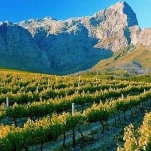Queer Eye Tours | Wine Tasting in Franschhoek Incl Lunch and Drinks for 6 (Copy)