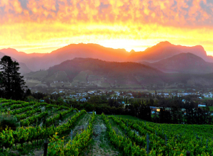 Queer Eye Tours | Wine Tasting in Franschhoek Incl Lunch and Drinks for 6 (Copy)