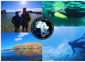 African Ocean Adventures | The Blue Safari Adventure with Kelp Snorkeling & Marine Life Experiences for 1