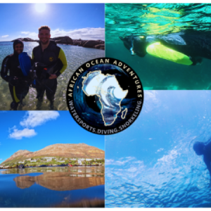 African Ocean Adventures | The Blue Safari Adventure with Kelp Snorkeling & Marine Life Experiences for 1