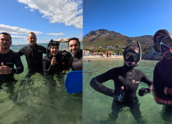 African Ocean Adventures | The Blue Safari Adventure with Kelp Snorkeling & Marine Life Experiences for 1