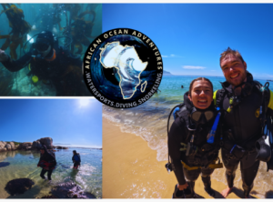 African Ocean Adventures | Experience The Beauty Of Scuba Diving For 1 and Beginners Welcome