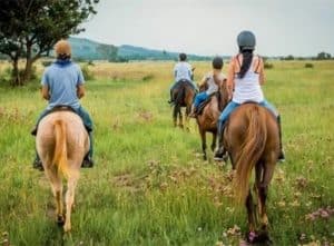 Horse And Trails | A Beautiful and Scenic Guided Horse Trail Ride For 2