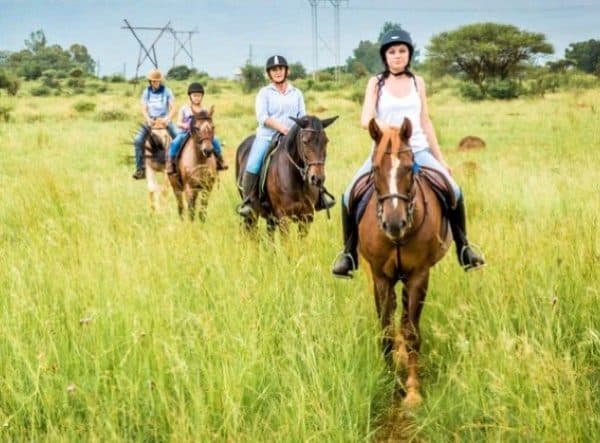 Horse And Trails | A Beautiful and Scenic Guided Horse Trail Ride For 2