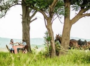 Horse And Trails | A Beautiful and Scenic Guided Horse Trail Ride For 2