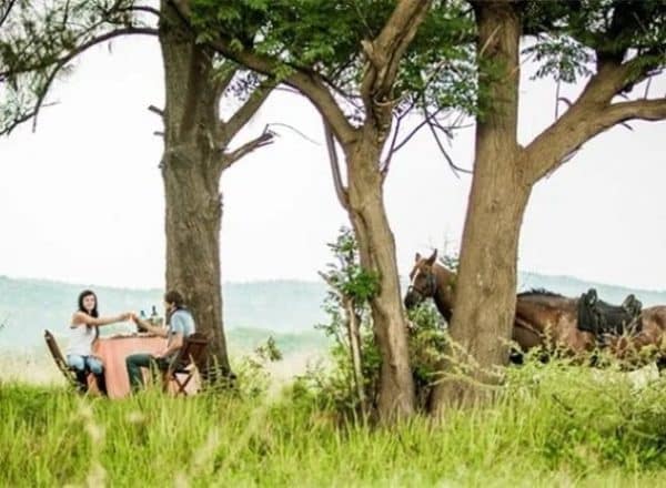 Horse And Trails | A Beautiful and Scenic Guided Horse Trail Ride For 2