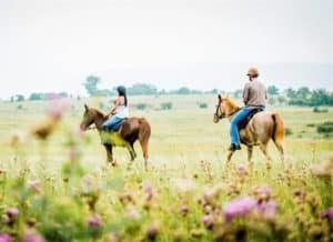 Horse And Trails | A Beautiful and Scenic Guided Horse Trail Ride For 2