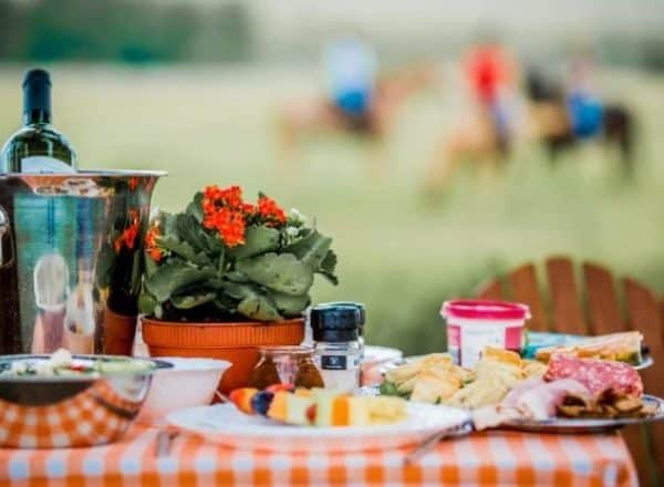 Horse And Trails | A Beautiful and Scenic Guided Horse Trail Ride For 2