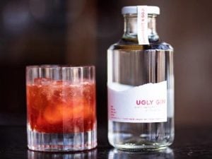 Pienaar & Son Distilling | A Craft Gin Tasting Experience For 2