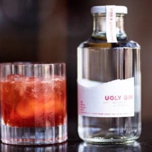 Pienaar & Son Distilling | A Craft Gin Tasting Experience For 2