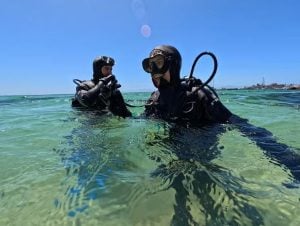 African Ocean Adventures | Experience The Beauty Of Scuba Diving For 1 and Beginners Welcome