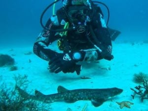 African Ocean Adventures | Experience The Beauty Of Scuba Diving For 1 and Beginners Welcome