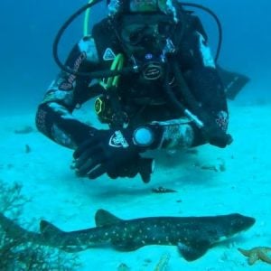 African Ocean Adventures | Experience The Beauty Of Scuba Diving For 1 and Beginners Welcome