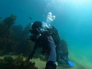 African Ocean Adventures | Experience The Beauty Of Scuba Diving For 1 and Beginners Welcome