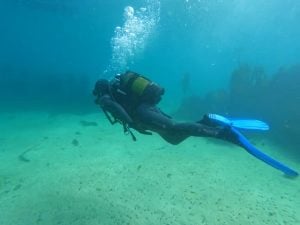 African Ocean Adventures | Experience The Beauty Of Scuba Diving For 1 and Beginners Welcome