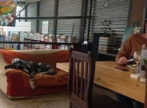 Karoo Cafe | A Choice of Delicious Main Meals and Drinks For 2