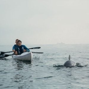 Kayak Wild | A 2 Hr Guided Kayaking Marine Life Excursion For 1