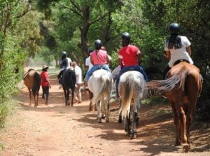Horse And Trails | A Beautiful and Scenic Guided Horse Trail Ride For 2