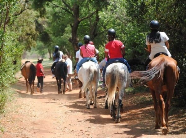 Horse And Trails | A Beautiful and Scenic Guided Horse Trail Ride For 2